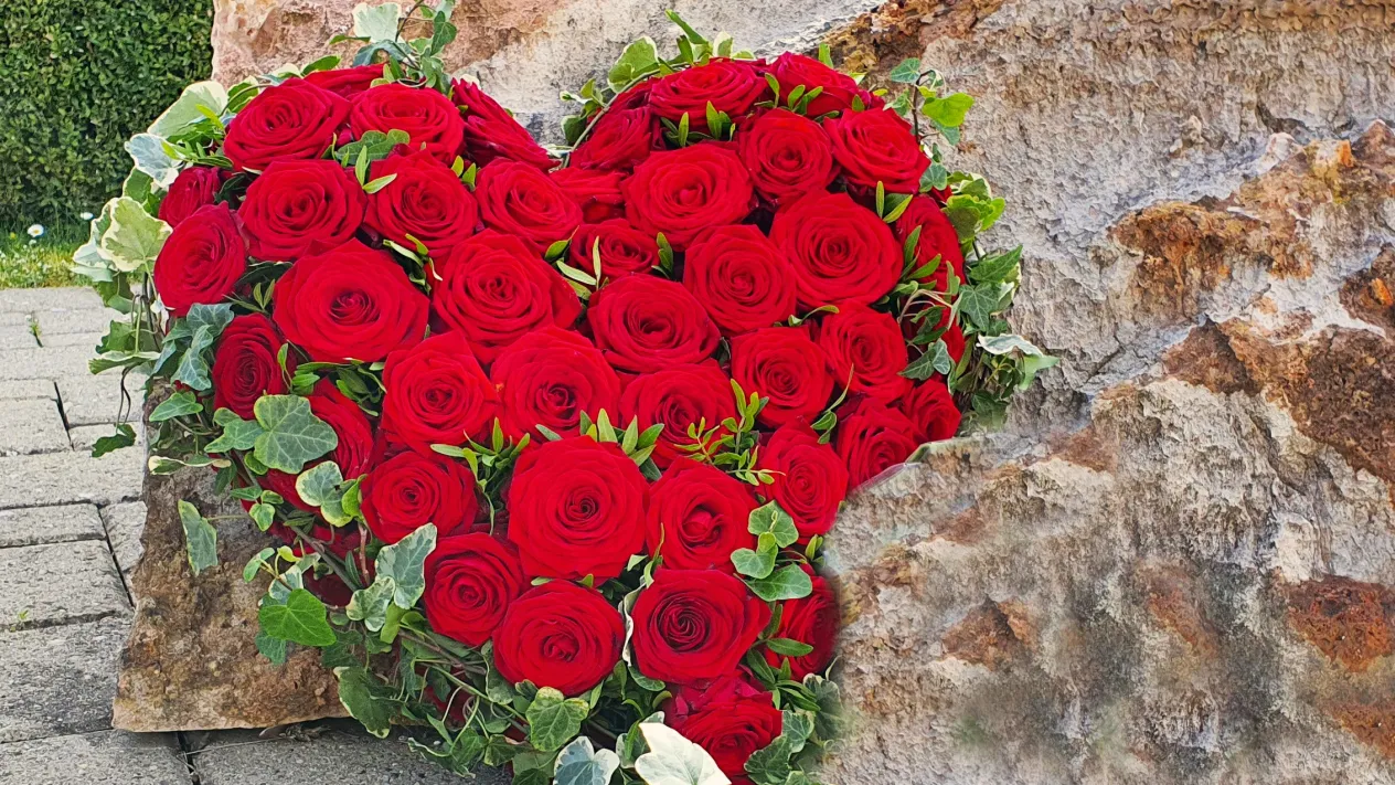 Herz aus Rosen (Foto: Werner Näf) Herz aus Rosen (Foto: Werner Näf)